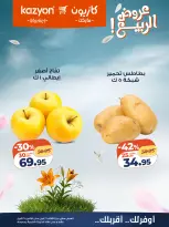 Kazyon Market Egypt offers from 21 to 27 April 2026 Tuesday offer - Page 9
