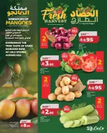 Lulu offers in Western Region from 5 to 11 Dhuʻl-Qiʻdah 1447 AH (22 – 28 April 2026) World of Food Offers - Page 4
