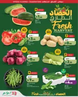 Lulu offers in Western Region from 5 to 11 Dhuʻl-Qiʻdah 1447 AH (22 – 28 April 2026) World of Food Offers - Page 6