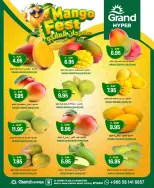 Grand Hypermarket offers in Al Mansoura from 5 to 11 Dhuʻl-Qiʻdah 1447 AH (22 – 28 April 2026) Budget Saver - Page 3