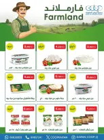 Offres Coopérative Kaifan Koweït de 23 à 29 avril 2026 Festival d'avril - Coopérative Kaifan - Koweït - 23 avril 2026 – 29 avril 2026 - Page 24