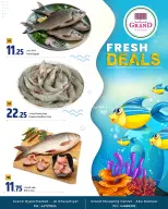 Grand & Al Rawabi Qatar offers from 23 to 24 April 2026 Fish deals - Grand & Al Rawabi - Qatar - 23 April 2026 – 24 April 2026 - Page 1