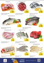 Ofertas de Nesto Butina de 23 a 26 abril 2026 Ofertas Shockwave - Página 25