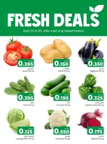 Day To Day Discount Center Bahrain offers from 23 to 25 April 2026 Fresh deals - Day To Day Discount Center - Bahrain - 23 April 2026 – 25 April 2026 - Page 4