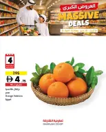 Grandes ofertas en Cooperativa de Sharjah, del 23 abril al 3 mayo 2026 - Cooperativa de Sharjah - Emiratos Árabes Unidos - 23 abril 2026 – 3 mayo 2026 - Página 3