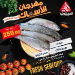 عروض مهرجان الأسماك فى المحلاوى ماركت من ٢٥ حتى ٢٦ أبريل ٢٠٢٦ - المحلاوى ماركت - مصر - 25 ابريل 2026 – 26 ابريل 2026 - صفحة 2