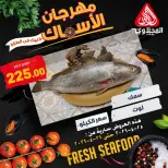 عروض مهرجان الأسماك فى المحلاوى ماركت من ٢٥ حتى ٢٦ أبريل ٢٠٢٦ - المحلاوى ماركت - مصر - 25 ابريل 2026 – 26 ابريل 2026 - صفحة 6
