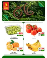 Ofertas de Mercado A Arabia Saudita de 9 a 10 Dhuʻl-Qiʻdah 1447 AH (26 – 27 abril 2026) Nuevas ofertas - Mercado A - Arabia Saudita - 26 abril 2026 – 27 abril 2026 - Página 5