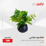 عروض رنين من ٢٨ حتى ٢٩ أبريل ٢٠٢٦ عروض هدايا وديكورات - صفحة 53