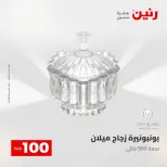 عروض رنين من ٢٨ حتى ٢٩ أبريل ٢٠٢٦ عرض ال 100 جنيه - صفحة 31