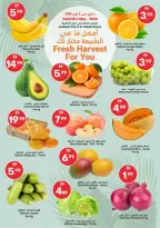 Grand Emirates Market offers in Abu Dhabi from 29 April to 6 May 2026 Great savings - Grand Emirates Market - UAE - 29 April 2026 – 6 May 2026 - Page 13
