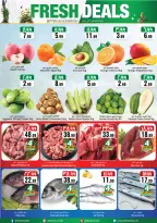 عروض سيتى فلاور بفرع حائل من ١٢ حتى ١٨ ذو القعدة ١٤٤٧ هـ (٢٩ أبريل إلى ٥ مايو ٢٠٢٦) أسبوع التوفير الكبير - سيتى فلاور - السعودية - 29 ابريل 2026 – 5 مايو 2026 - صفحة 3