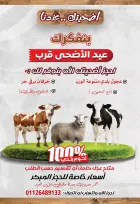 عروض الحسينى سوبر ماركت مصر من ٣٠ أبريل حتى ١٠ مايو ٢٠٢٦ تخفيضات الصيف - الحسينى سوبر ماركت - مصر - 30 ابريل 2026 – 10 مايو 2026 - صفحة 43
