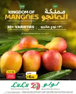 Lulu offers in Eastern Province from 12 to 15 Dhuʻl-Qiʻdah 1447 AH (29 April – 2 May 2026) Mango Kingdom Offers - Page 1