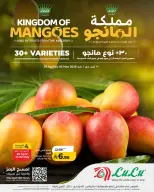 Lulu offers in Riyadh, Al Kharj, Hail, Unaizah from 12 to 15 Dhuʻl-Qiʻdah 1447 AH (29 April – 2 May 2026) Mango Kingdom Offers - Page 1