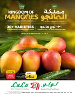 Lulu offers in Jeddah, Yanbu, Khamis Mushait, Tabuk from 12 to 15 Dhuʻl-Qiʻdah 1447 AH (29 April – 2 May 2026) Mango Kingdom Offers - Page 1