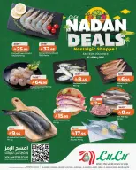 Lulu offers in Eastern Province from 16 to 18 Dhuʻl-Qiʻdah 1447 AH (3 – 5 May 2026) Nadan Deals - Page 3