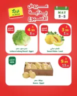 Offres Marché d'Al Rayah Arabie Saoudite de 16 à 18 Dhuʻl-Qiʻdah 1447 AH (3 au 5 mai 2026) Offres du week-end - Marché d'Al Rayah - Arabie Saoudite - 3 mai 2026 – 5 mai 2026 - Page 7