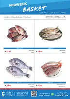Trolleys supermarket UAE offers from 5 to 6 May 2026 Midweek Deals - Trolleys supermarket - UAE - 5 May 2026 – 6 May 2026 - Page 2