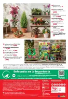 Ofertas de Alcampo Hipermercados España de 5 a 27 mayo 2026 Ofertas Aire Libre - Alcampo - España - 5 mayo 2026 – 27 mayo 2026 - Página 16