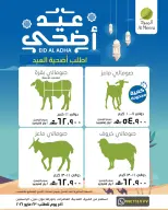 Ofertas de Al Meera Oman de 5 a 23 mayo 2026 Ordena tu sacrificio - Página 2