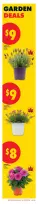 Ofertas de No Frills Canadá de 29 abril a 13 mayo 2026 OFERTAS PARA EVENTOS DE DÍAS - No Frills - Canadá - 29 abril 2026 – 13 mayo 2026 - Página 5