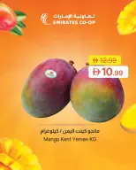 Ofertas de Emirates Cooperative Society Emiratos Árabes Unidos de 8 a 11 mayo 2026 Ofertas en festivales de mango - Emirates Cooperative Society - Emiratos Árabes Unidos - 8 mayo 2026 – 11 mayo 2026 - Página 8