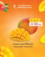 Ofertas de Emirates Cooperative Society Emiratos Árabes Unidos de 8 a 11 mayo 2026 Ofertas en festivales de mango - Emirates Cooperative Society - Emiratos Árabes Unidos - 8 mayo 2026 – 11 mayo 2026 - Página 9