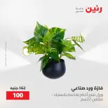 عروض رنين من ١٠ حتى ١١ مايو ٢٠٢٦ عروض هدايا وديكورات - صفحة 60