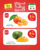 Offres Marché d'Al Rayah Arabie Saoudite de 23 à 25 Dhuʻl-Qiʻdah 1447 AH (10 au 12 mai 2026) Offres du week-end - Marché d'Al Rayah - Arabie Saoudite - 10 mai 2026 – 12 mai 2026 - Page 8