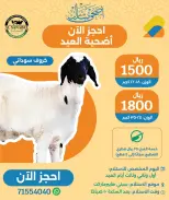 Ofertas de City hiper Katar de 10 a 12 mayo 2026 Tres grandes días - City hiper - Katar - 10 mayo 2026 – 12 mayo 2026 - Página 3