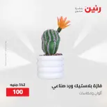 Ofertas de Raneen de 12 a 13 mayo 2026 Ofertas de Regalos y Decoraciones - Página 62