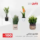 عروض رنين من ١٢ حتى ١٣ مايو ٢٠٢٦ عرض ال 100 جنيه - صفحة 73