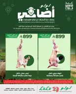 Ofertas de Lulu Región Occidental de 24 Dhuʻl-Qiʻdah a 3 Dhuʻl-Hijjah 1447 AH (11 – 20 mayo 2026) Reserva tus ofertas de sacrificio - Página 5