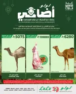 Ofertas de Lulu Región Occidental de 24 Dhuʻl-Qiʻdah a 3 Dhuʻl-Hijjah 1447 AH (11 – 20 mayo 2026) Reserva tus ofertas de sacrificio - Página 3