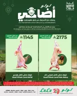 Ofertas de Lulu Región Occidental de 24 Dhuʻl-Qiʻdah a 3 Dhuʻl-Hijjah 1447 AH (11 – 20 mayo 2026) Reserva tus ofertas de sacrificio - Página 4