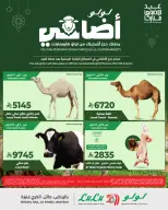 Ofertas de Lulu Central Region de 24 Dhuʻl-Qiʻdah a 3 Dhuʻl-Hijjah 1447 AH (11 – 20 mayo 2026) Reserva tus ofertas de sacrificio - Página 3