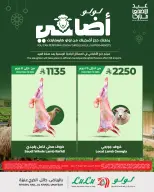 Ofertas de Lulu Central Region de 24 Dhuʻl-Qiʻdah a 3 Dhuʻl-Hijjah 1447 AH (11 – 20 mayo 2026) Reserva tus ofertas de sacrificio - Página 5