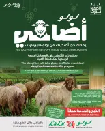 Ofertas de Lulu Central Region de 24 Dhuʻl-Qiʻdah a 3 Dhuʻl-Hijjah 1447 AH (11 – 20 mayo 2026) Reserva tus ofertas de sacrificio - Página 1