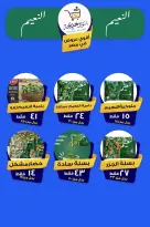 عروض أسواق خديجة بفرع الإسماعيلية من ٨ حتى ١٤ مايو ٢٠٢٦ عروض العيد السنوى - أسواق خديجة - مصر - 8 مايو 2026 – 14 مايو 2026 - صفحة 78
