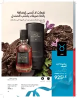 عروض أفون مصر من ١ حتى ٣١ مايو ٢٠٢٦ كتالوج شهر مايو - أفون - مصر - 1 مايو 2026 – 31 مايو 2026 - صفحة 49