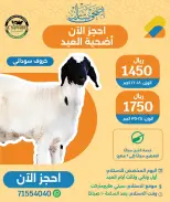 Ofertas de City hiper Katar de 13 a 16 mayo 2026 ofertas de comida fresca - City hiper - Katar - 13 mayo 2026 – 16 mayo 2026 - Página 3