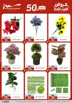Ofertas de Al Morshedy de 13 a 19 mayo 2026 Ofertas de Eid al-Adha - Al Morshedy - Egipto - 13 mayo 2026 – 19 mayo 2026 - Página 52