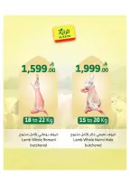 Ofertas de Mercado Al Rayah Arabia Saudita de 27 Dhuʻl-Qiʻdah a 3 Dhuʻl-Hijjah 1447 AH (14 – 20 mayo 2026) Reserva tus ofertas de sacrificio - Mercado Al Rayah - Arabia Saudita - 14 mayo 2026 – 20 mayo 2026 - Página 12