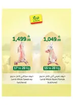 Ofertas de Mercado Al Rayah Arabia Saudita de 27 Dhuʻl-Qiʻdah a 3 Dhuʻl-Hijjah 1447 AH (14 – 20 mayo 2026) Reserva tus ofertas de sacrificio - Mercado Al Rayah - Arabia Saudita - 14 mayo 2026 – 20 mayo 2026 - Página 10
