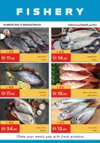 Ofertas de supermercado Istanbul Emiratos Árabes Unidos de 14 a 17 mayo 2026 Ahorros ilimitados - supermercado Istanbul - Emiratos Árabes Unidos - 14 mayo 2026 – 17 mayo 2026 - Página 18