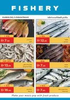 Ofertas de supermercado Istanbul Emiratos Árabes Unidos de 14 a 17 mayo 2026 Ahorros ilimitados - supermercado Istanbul - Emiratos Árabes Unidos - 14 mayo 2026 – 17 mayo 2026 - Página 19