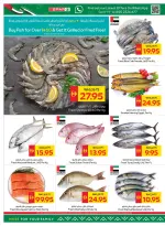Ofertas de SPAR Emiratos Árabes Unidos de 14 a 20 mayo 2026 Ofertas Eid Mubarak - SPAR - Emiratos Árabes Unidos - 14 mayo 2026 – 20 mayo 2026 - Página 4