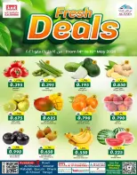 Ofertas de Comercio de KM y Al Safa Oman de 14 a 16 mayo 2026 Nuevas ofertas - Página 1