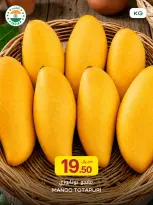 Offres Al Meera Qatar de 14 à 20 mai 2026 Offres Mango Week - Al Meera - Qatar - 14 mai 2026 – 20 mai 2026 - Page 9